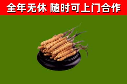 陵水烟酒回收冬虫夏草.jpg